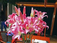 -食悦江南·淮扬菜·烤鸭(亚运村·惠新店)