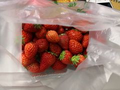 -煲宫猪肚鸡(昆山金鹰国际购物中心店)