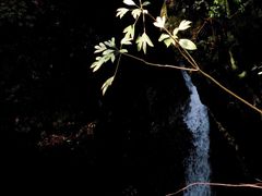 -宁波五龙潭景区