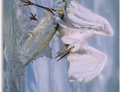 -时光花园(白鹭洲店)