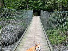 -西岭雪山大飞水景区