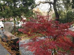 -北京鹫峰国家森林公园
