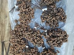 -渭南桃花源民俗文化园