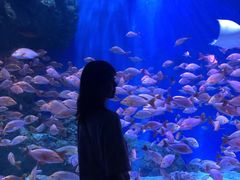 -成都浩海立方海洋公园