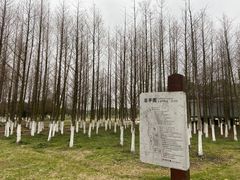 -滆湖低碳生态公园