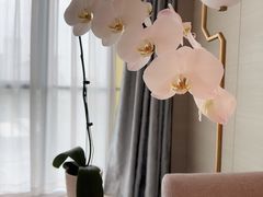 -北京北辰洲际酒店