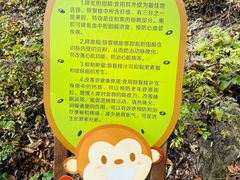 -大岭沟猕猴桃谷风景区