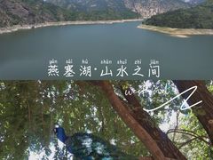 -燕塞湖鸟语林景区