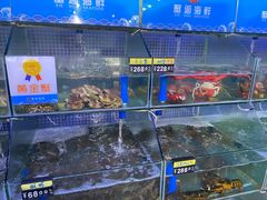 水产区-蟹老板的海鲜