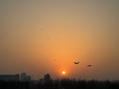 -汉长安城未央宫国家考古遗址公园