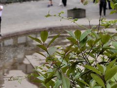 -海窝子古镇