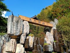-东天目山风景区