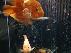 -长赢养生(平度店)