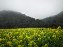 -广州市石门国家森林公园