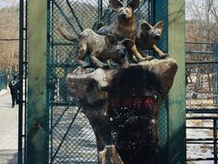 -大连森林动物园