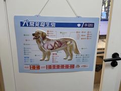 -瑞派康怡24h宠物医院·犬猫医疗中心·微创绝育(瑞景分院)