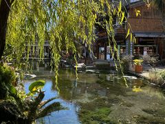 -正宗李家土鸡米线店