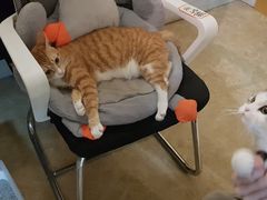 -逃脱反斗城沉浸剧情密室(北京路店)