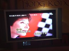 陈淑桦-我这样爱你对不对-环球梦主题KTV(曲阳生活购物中心店)