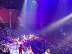 -珠海横琴长隆《卡卡虎奇遇记》