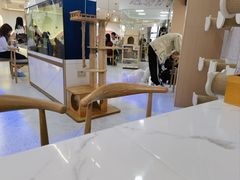 -喵园·猫主题咖啡厅·撸猫·猫咖(国贸店)