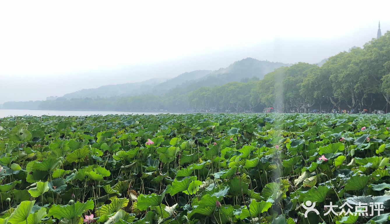 西湖暴走4小时