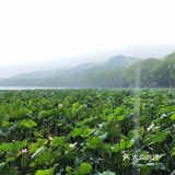 西湖暴走4小时