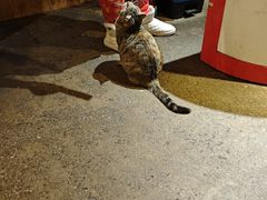 -大王油茶(磁器口店)