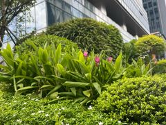 -ITARU食堂·定食料理(西丽店)