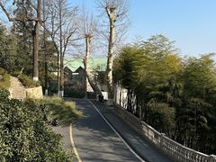 -莫干山风景区