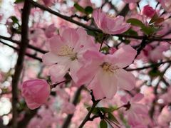 -映月湖中央公园