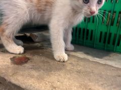 -四川大学(华西校区)