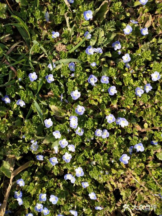 汉长安城未央宫国家考古遗址公园图片