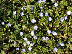 -汉长安城未央宫国家考古遗址公园