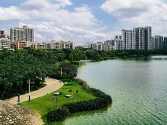 -飞来湖湿地公园