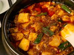 -陈麻婆豆腐总店