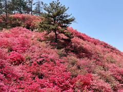 -木兰云雾山