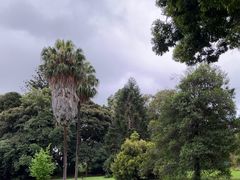 -墨尔本皇家植物园