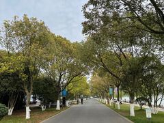 -东钱湖旅游度假区