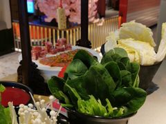 -渡娘火锅(大兴大悦春风里店)