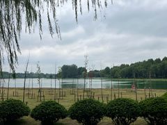 -滨湖塘西河公园