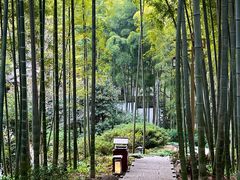 -杭州黄龙洞