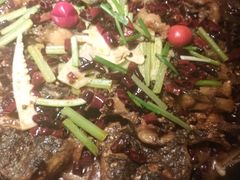 -老板恋上鱼(印象城店)