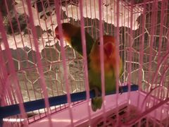 -蓝鲸湾汤泉(包河店)