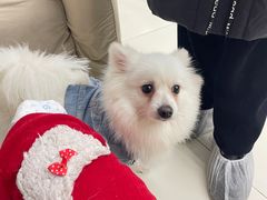 -怪兽屋·羊驼·猫咖·狗咖(俊华广场店)