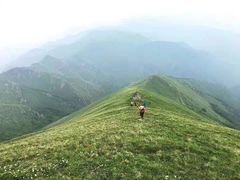 -灵山