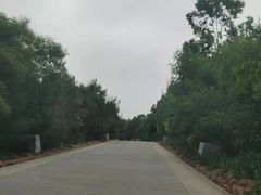 -汕尾风车岛