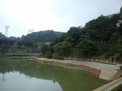 DSC_0012-广州市帽峰山景区