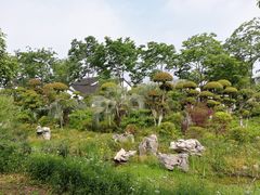 -山水间小院