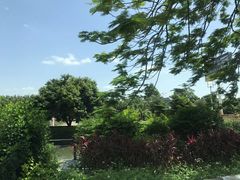 -云溪植物园